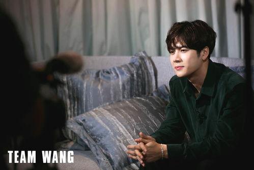 爆料阿飞王嘉尔视频,揭秘明星私下真实一面